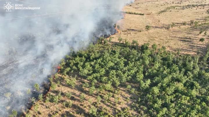 У Миколаєві ліквідували масштабну пожежу: доступ до осередків тління неможливий через загрозу боєприпасів