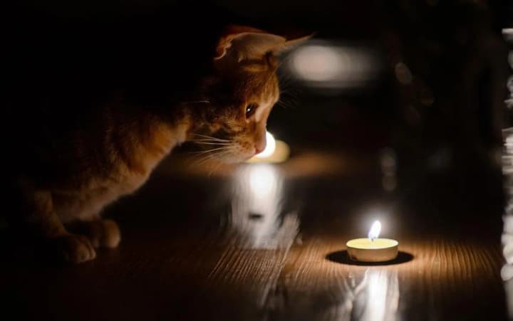 Світло вимикатимуть менше: як завтра працюватимуть графіки відключень