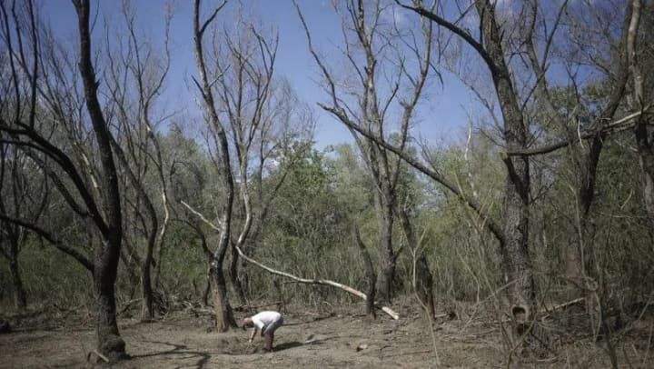 В Румынии вторую ночь подряд выпускали оповещения о возможном падении обломков дронов на фоне атаки рф на Украину