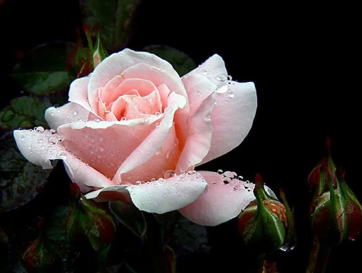 Дощі на заході, спека на сході: прогноз погоди на сьогодні