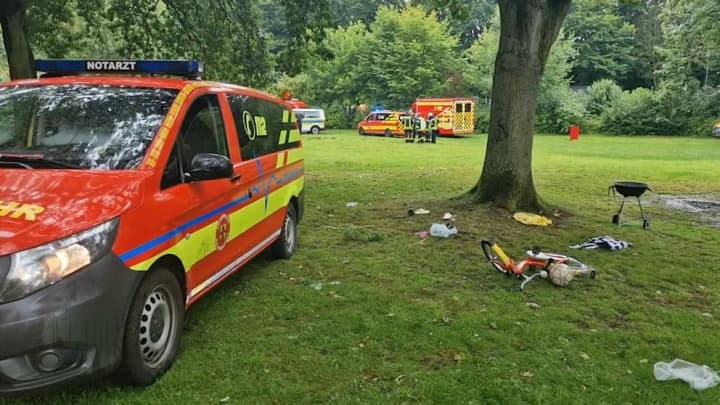 Lightning strikes a tree in Germany: a child dies
