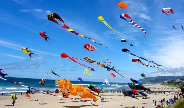 August 16: World Kite Day, Walnut Savior