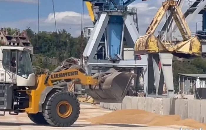 The invaders took out 7.7 tons of stolen grain through Mariupol