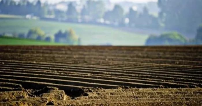 Шмигаль про інвентаризацію сільськогосподарських угідь: 23% земель досі не внесені до кадастру