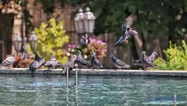 Weather in Ukraine on September 1: no precipitation, up to +32°