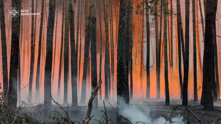 A large-scale forest fire has covered about 5 thousand hectares in Donetsk and Kharkiv regions