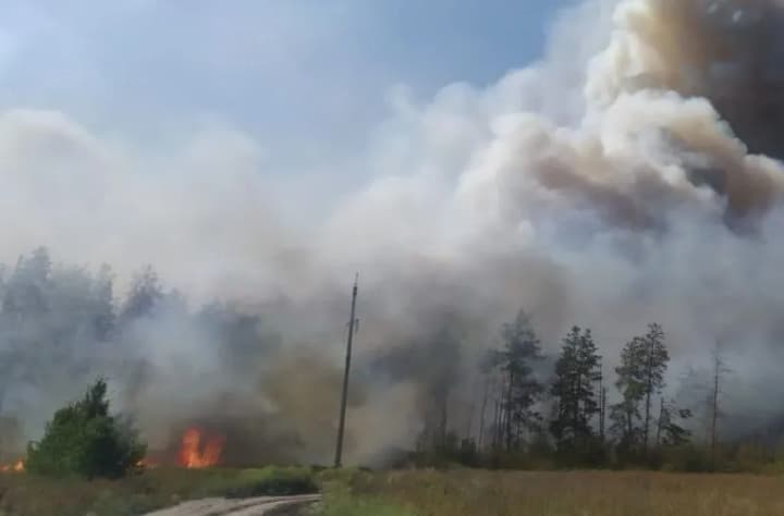 Власники домогосподарств Донеччини, які втратили майно через російські обстріли, можуть отримати компенсацію "єВідновлення"