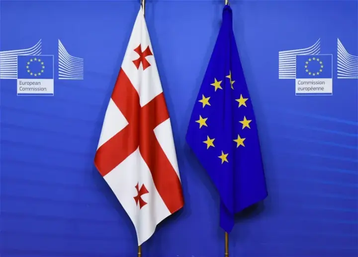 У ЄС розкритикували Грузію за прийняття законів щодо "ЛГБТ-пропаганди" 