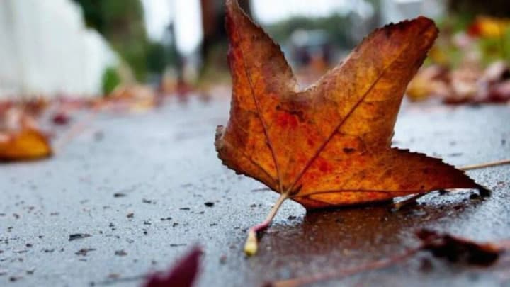 The forecaster urged to prepare for a real fall: when and where it will get colder