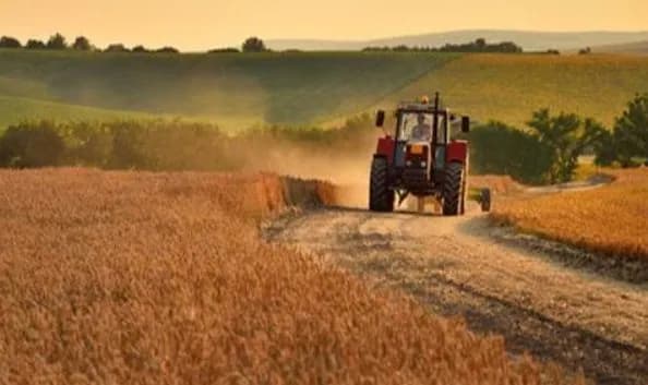 More than 30.5 thousand hectares of demined land were received by Ukrainian farmers in September - Ministry of Economy