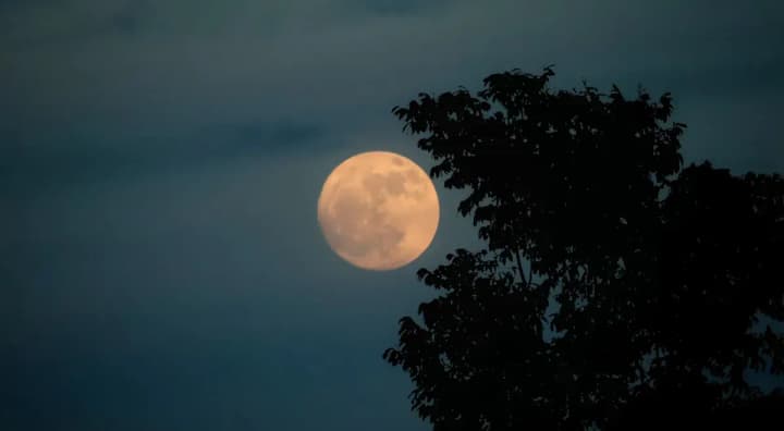 Full moon will make its adjustments: horoscope for all zodiac signs for October 17-20