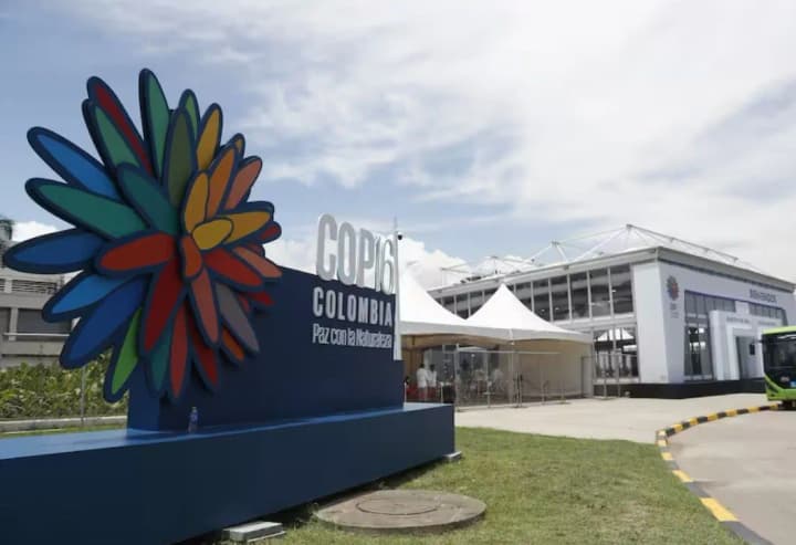 Финансирование природоохранной деятельности среди стран мира «пробуксовывает», поскольку лимит государственных средств достигнут