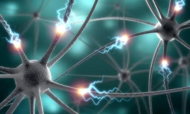 Исследователи впервые с беспрецедентной точностью проследили образование амилоидов, связанных с болезнью Альцгеймера