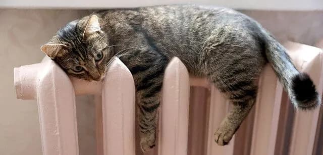 Kyiv has completed the heating connection: how many houses are already heated