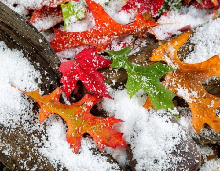 Weather in Ukraine: where to expect sleet and sudden temperature changes today