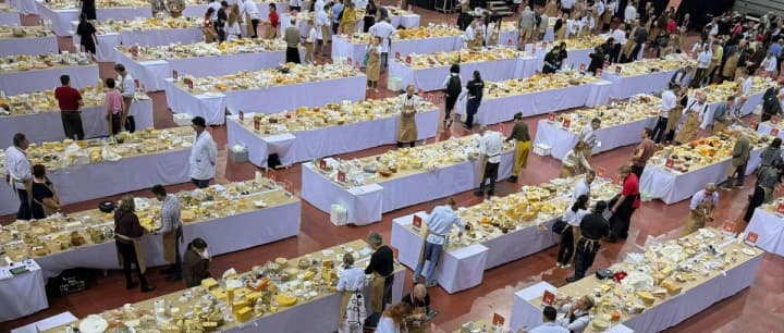 Doobra farm: how Ukrainian craft cheeses are conquering the world