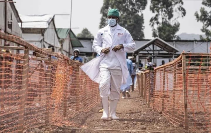 Загадкова хвороба Х може бути результатом малярії або Covid-19 