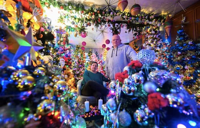 German family sets world record: more than 600 Christmas trees in the house, there are even in the toilet