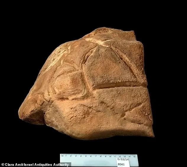 Mysterious turtle sculpture found in Holy Land cave after 35,000 years