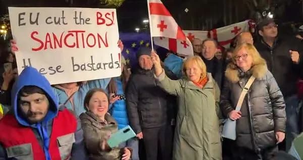 Protests in Georgia: MEPs attend pro-European rally in Tbilisi