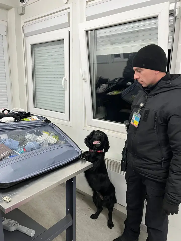 On the border with Poland, a sniffer dog found drugs and weapons on a British citizen