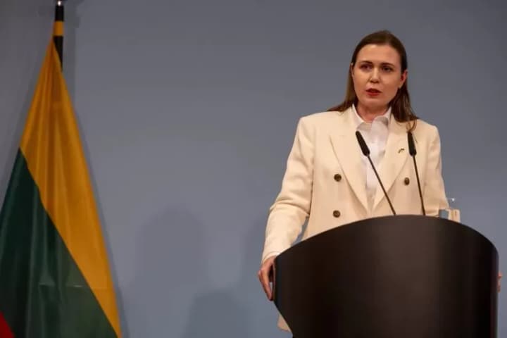 Lithuania is taking measures after the damage to underwater cables in the Baltic Sea