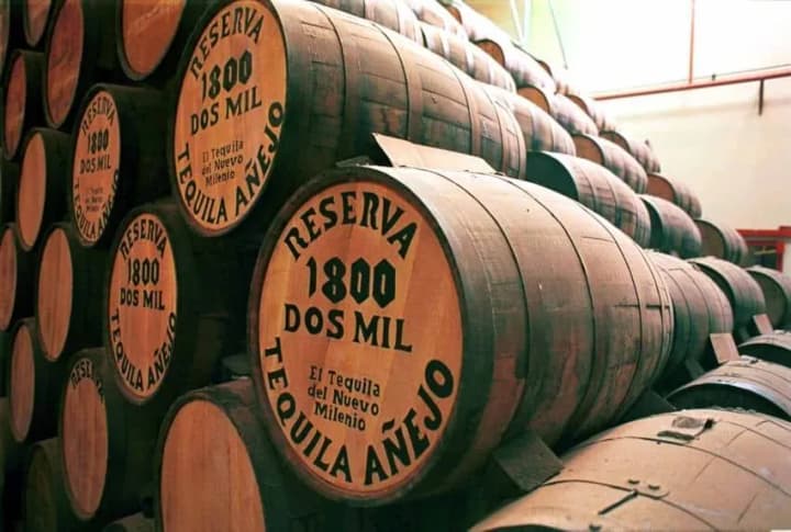 Mexico is "drowning" in tequila: the country cannot sell 500 million liters of the drink
