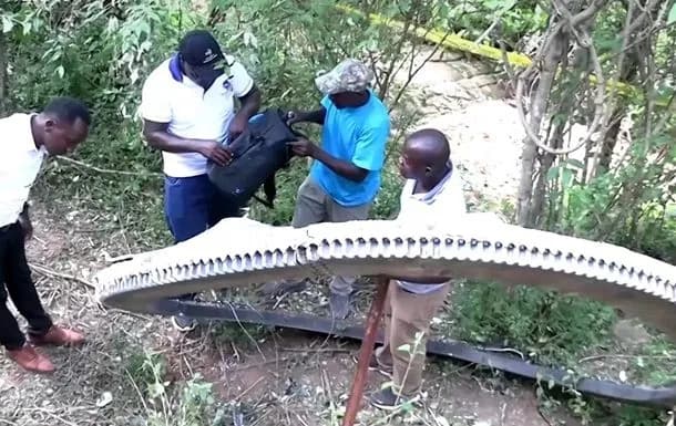 Half a ton of space debris fell on a village in Kenya