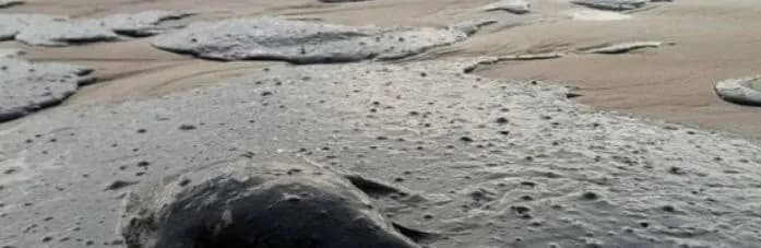 Мазутне забруднення дісталося ще трьох міст окупованого Криму  