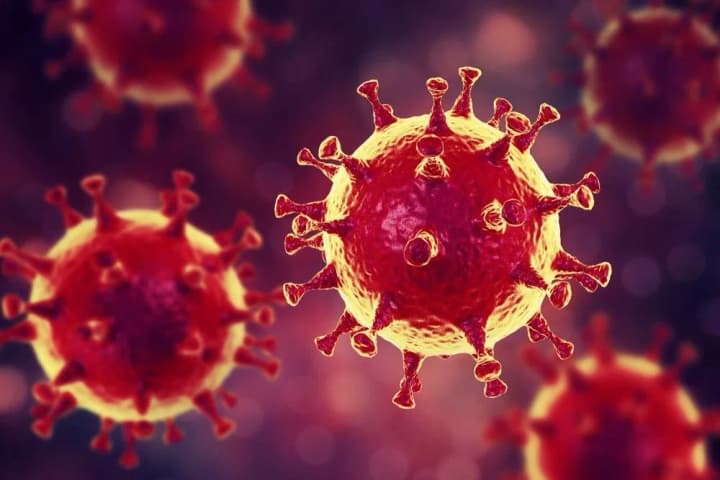 WHO assures that metapneumovirus from China is not a threat
