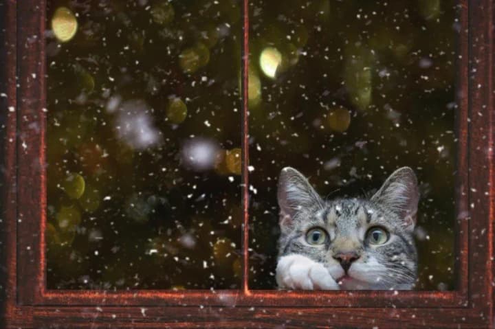 The last warm day before a sharp cold snap: weather forecast for today