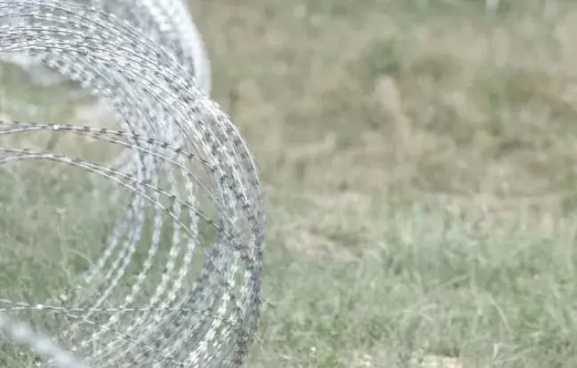 Belarus is an important direction, so we follow the exercises there - Demchenko