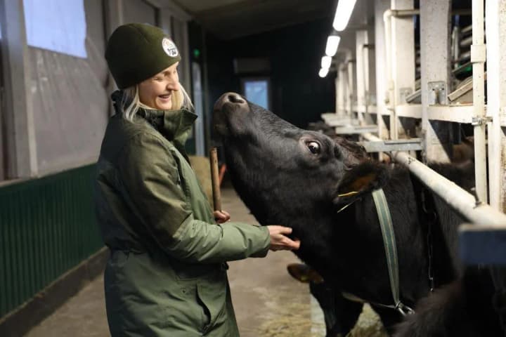 "Роби своє"": благотворители поддержали сыроварню ветеранов, которые спасают животных с прифронтовых территорий