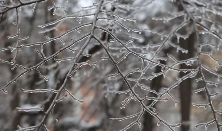 Wet snow, sometimes ice: weather forecasters give weather forecast for January 17