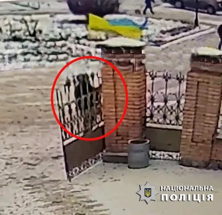 State flag desecrated in Bila Tserkva: the person involved is wanted