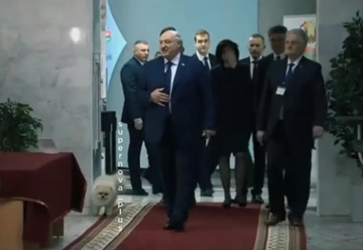 Пес лукашенка надзюрив на виборчій дільниці в білорусі