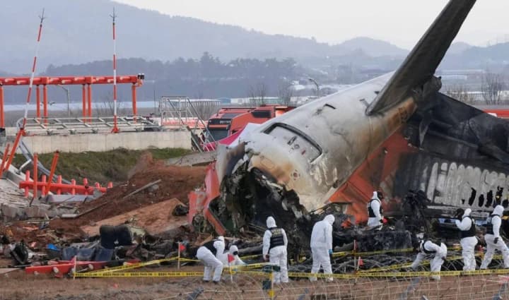The fatal crash of a South Korean airplane: Boeing collided with a flock of birds