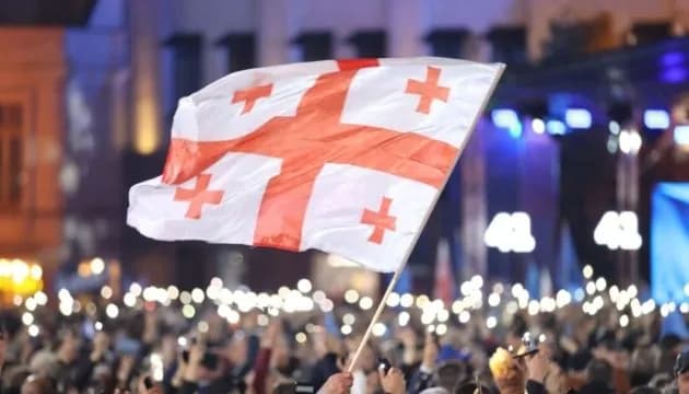 ПАРЄ вимагає проведення нових виборів в Грузії