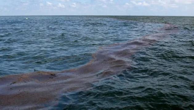 15 км прибережної смуги Азовського моря забруднено мазутом, зафіксовано його рух у бік Маріуполя - міськрада