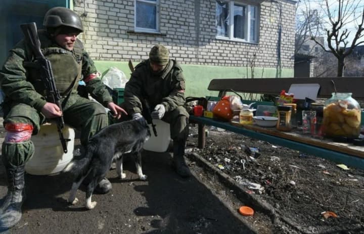 «Ввели понятие подчинения": на ВОТ Луганщины оккупанты упрощают процесс изъятия земель у физлиц