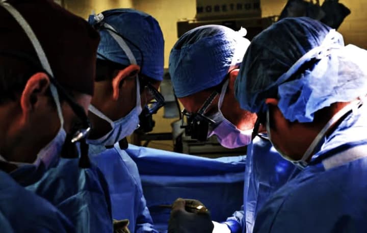 Pig organ transplantation: clinical trials start in the US