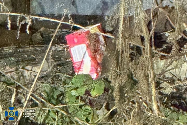 Готовили ловушку для полиции по указанию российских спецслужб: на Буковине предотвратили попытку теракта