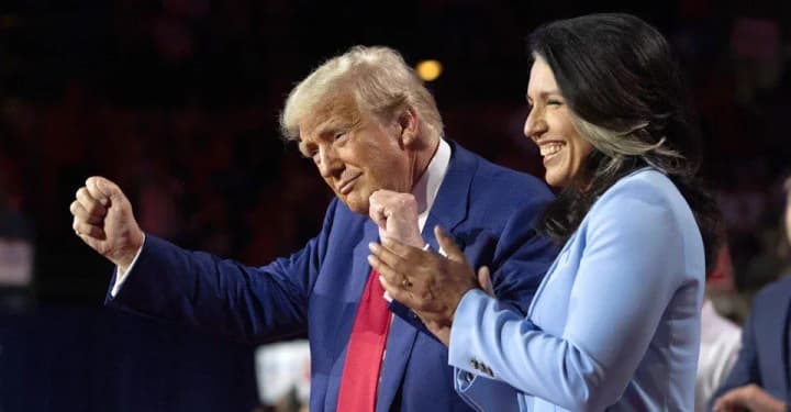 U.S. Senate Committee supports Gabbard's nomination for Director of National Intelligence