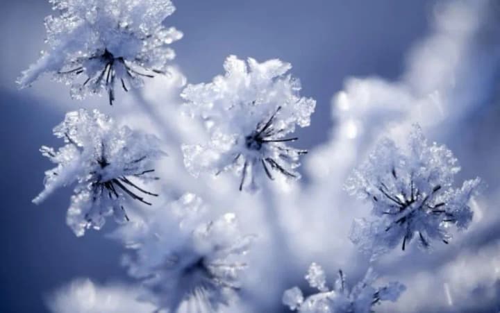 Frost is forecast in Ukraine, no precipitation is expected