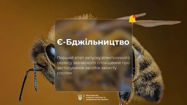 В Украине стартовал сервис "Е-Пчеловодство": как будет работать и кому будет полезен