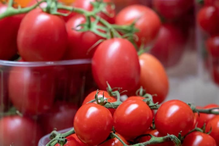 В Украине подешевели помидоры: какая причина снижения цен