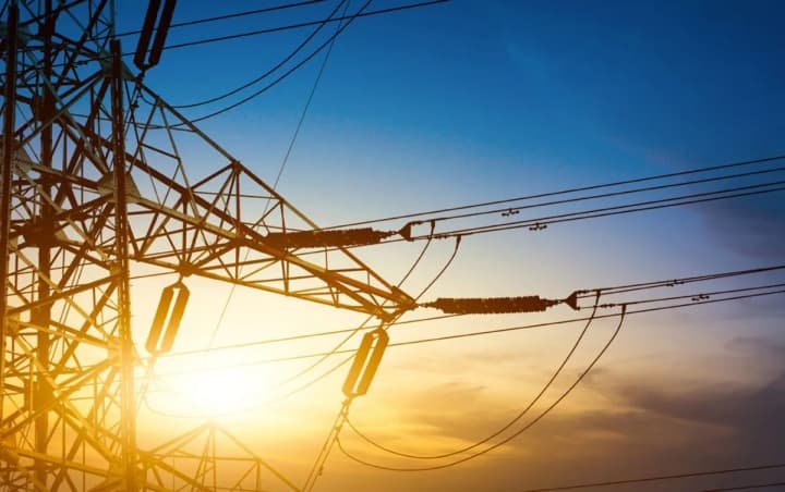 Кот График поможет украинцам экономить электроэнергию в пиковые часы