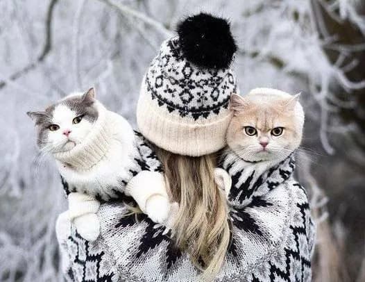 Февральская стужа: прогноз погоды на сегодня