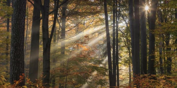 Погода: температура в марте будет немного выше нормы