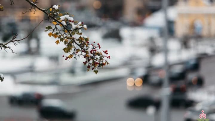 В Україні переважно без опадів, до 5° тепла: синоптики дали прогноз на 26 лютого 